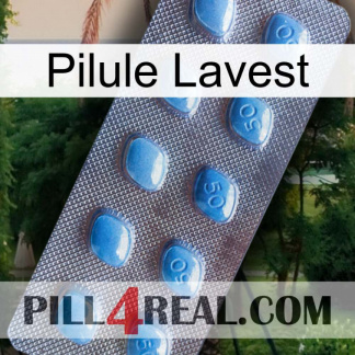 Lavest Pill viagra3